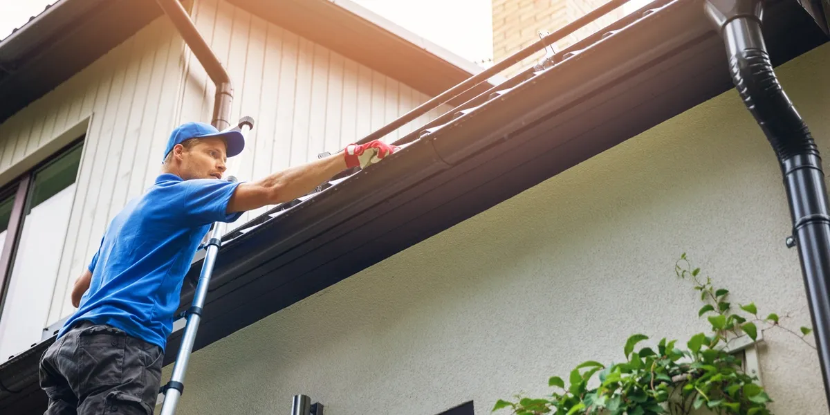 Gutter Cleaning